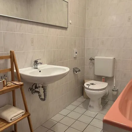 Pusteblume * Quedlinburg