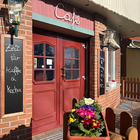 Pusteblume * Quedlinburg