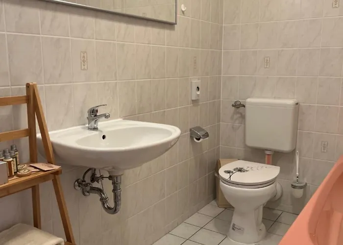 Pusteblume * Quedlinburg