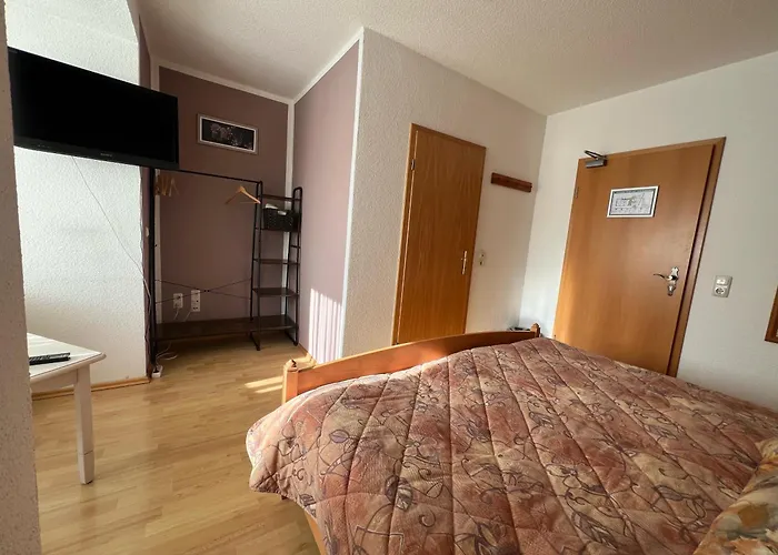 Pusteblume * Quedlinburg